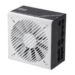 psasap-750g - imagen 4